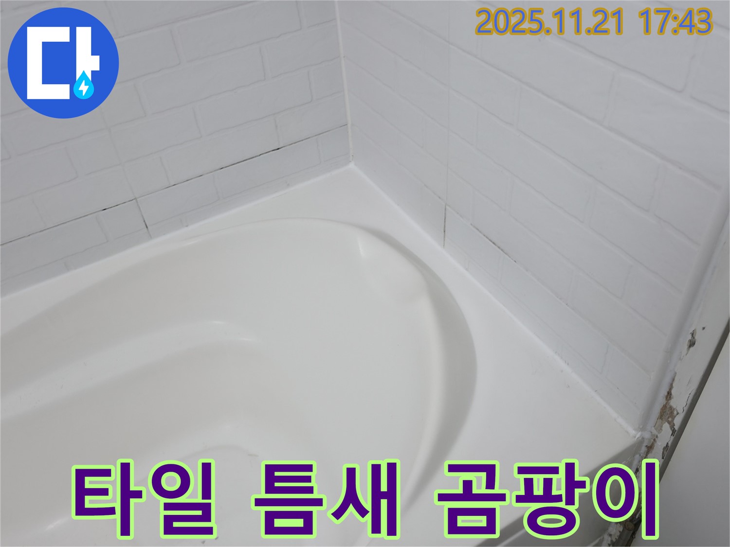 서대문구 홍제동 - 욕조 타일 틈새 - 곰팡이와 누수의 콜라보!