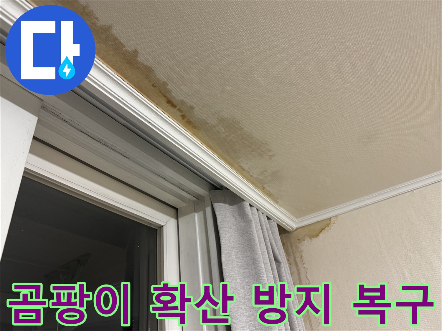 서대문구 홍제동 창가 천장 누수 - 곰팡이 확산 방지를 위한 긴급 복구 이미지입니다.