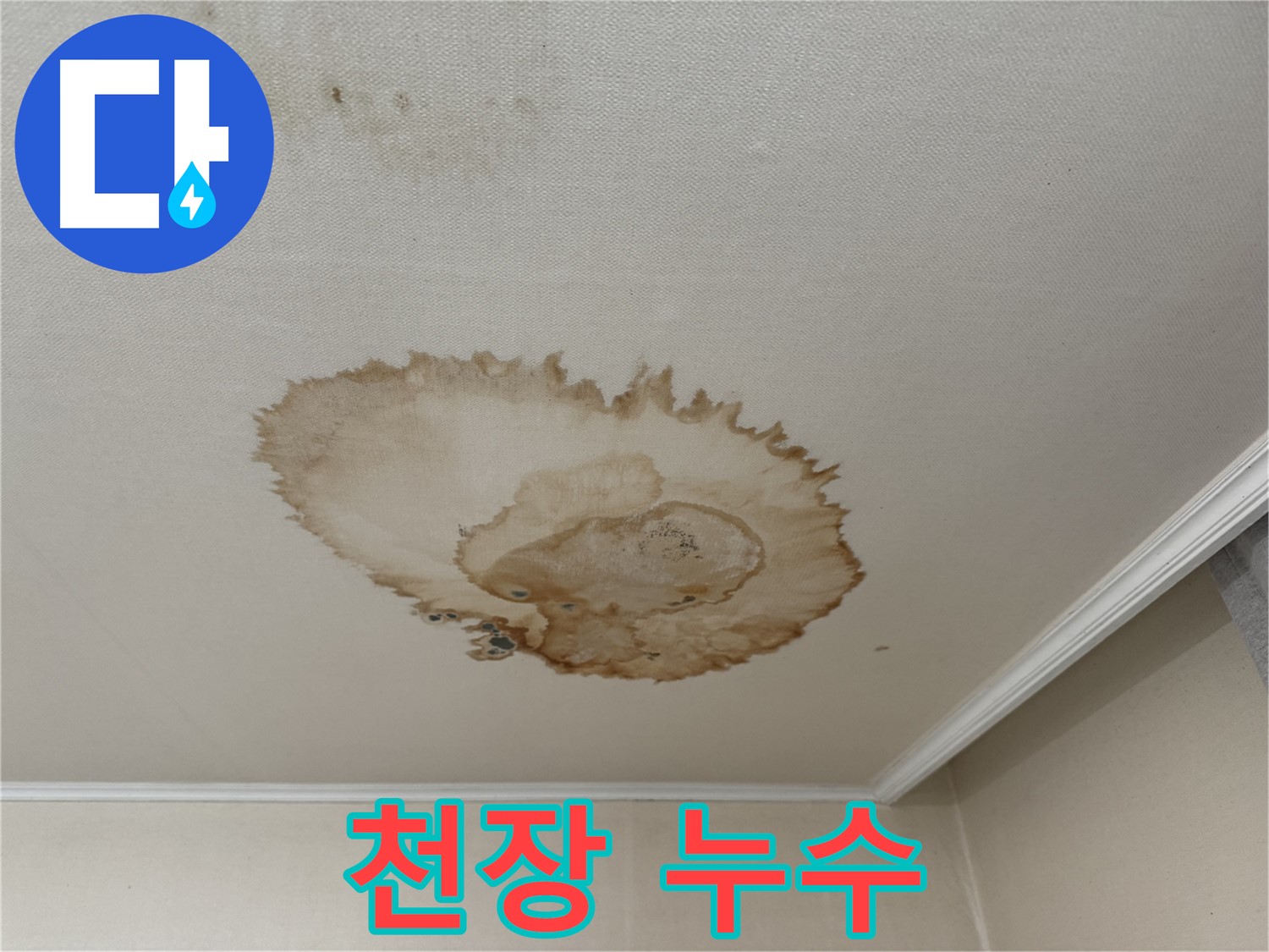 서대문구에서 발생한 천장 누수 - 물이 고여있는 천장과 얼룩진 벽면을 보여주는 사진