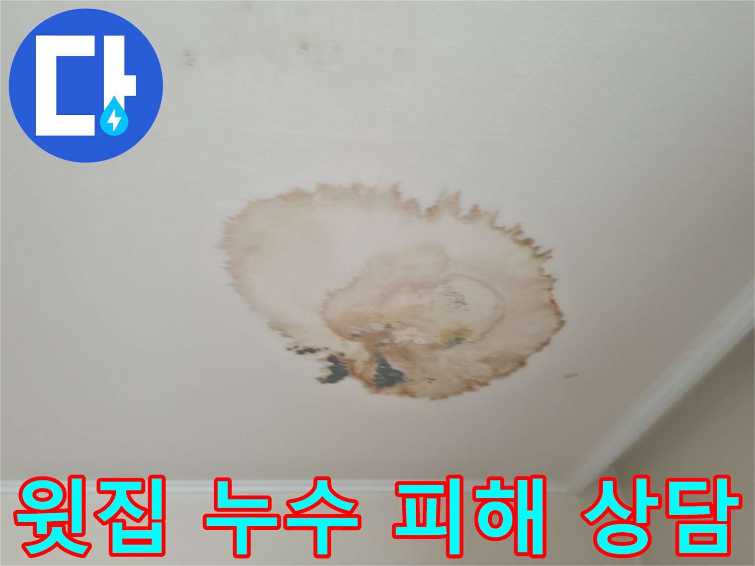 윗집 누수 피해 - 해결 방법 상담 - 서대문구 누수