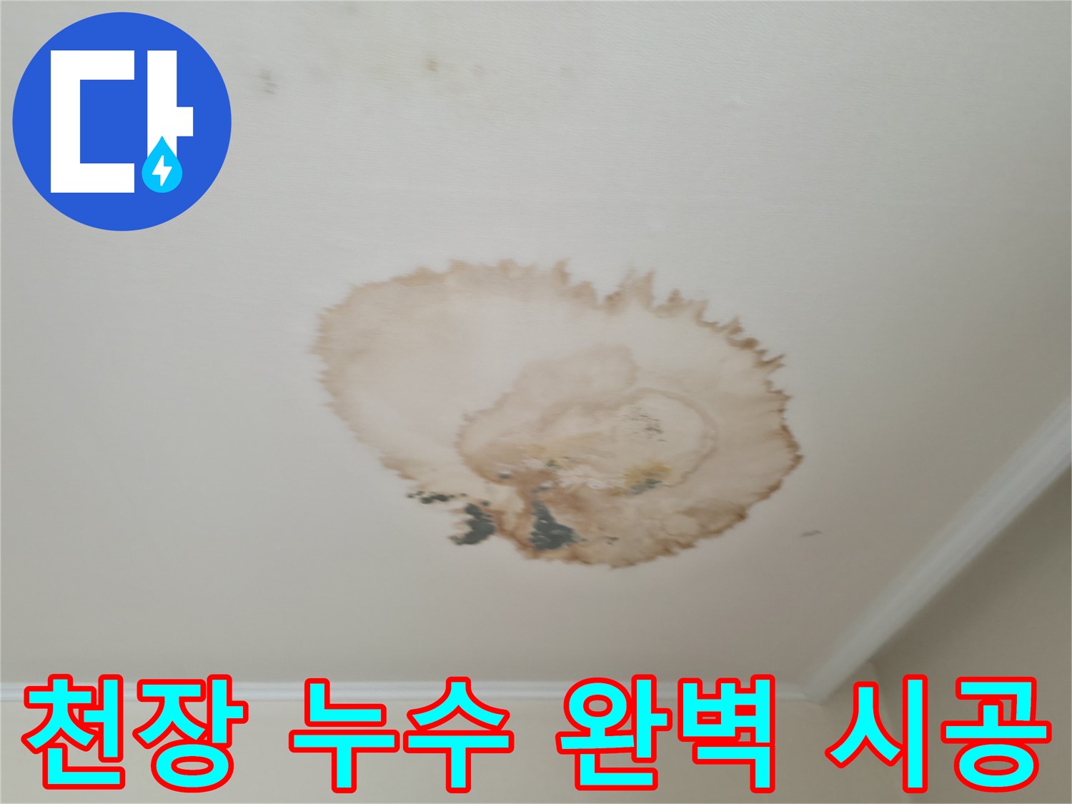 천장 누수 - 완벽한 시공 - 재발 방지 및 품질 보증