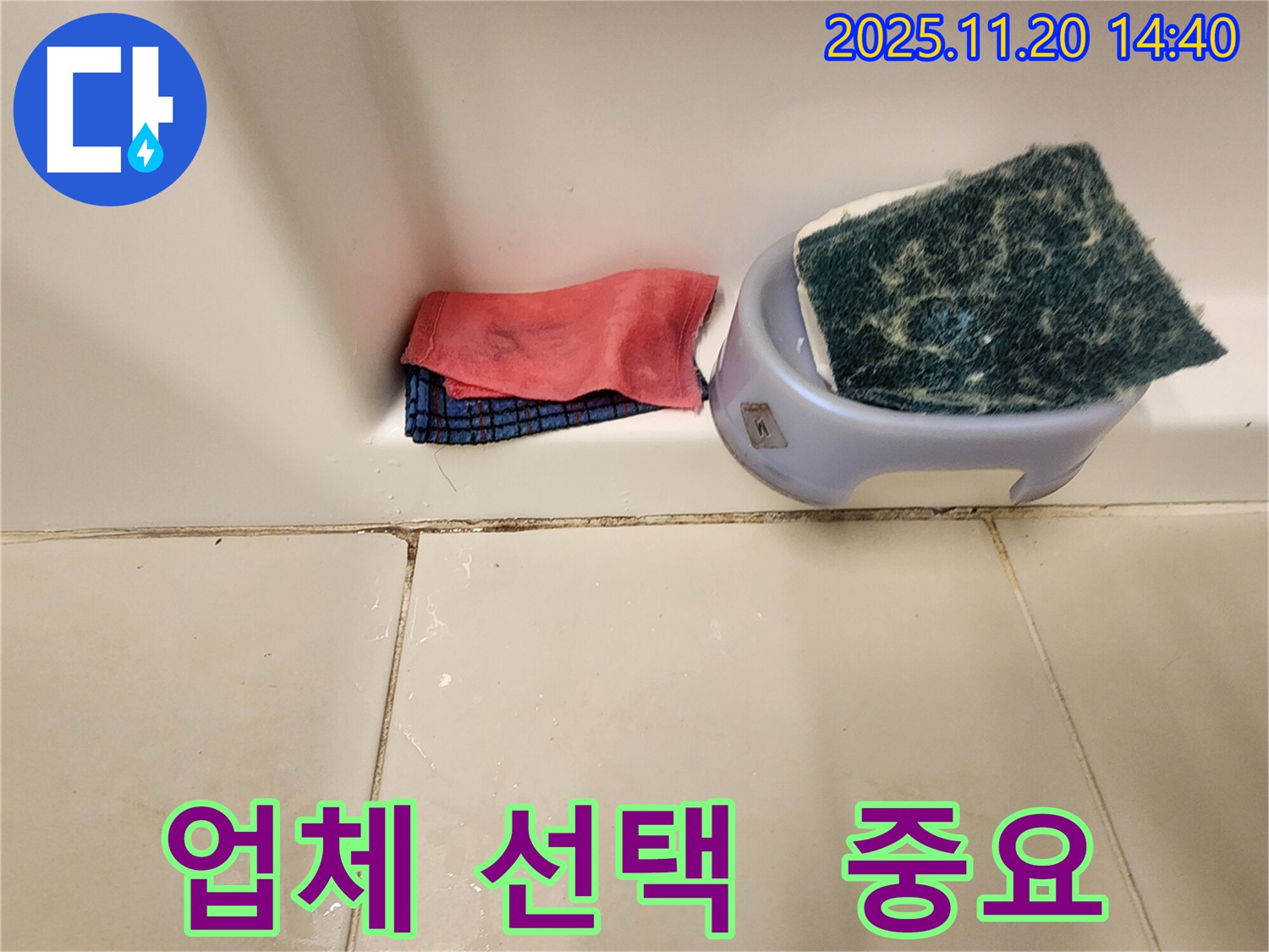 곰팡이 제거 - 어떤 업체를 선택해야 후회하지 않을까요? 꼼꼼히 비교하고 선택하세요.
