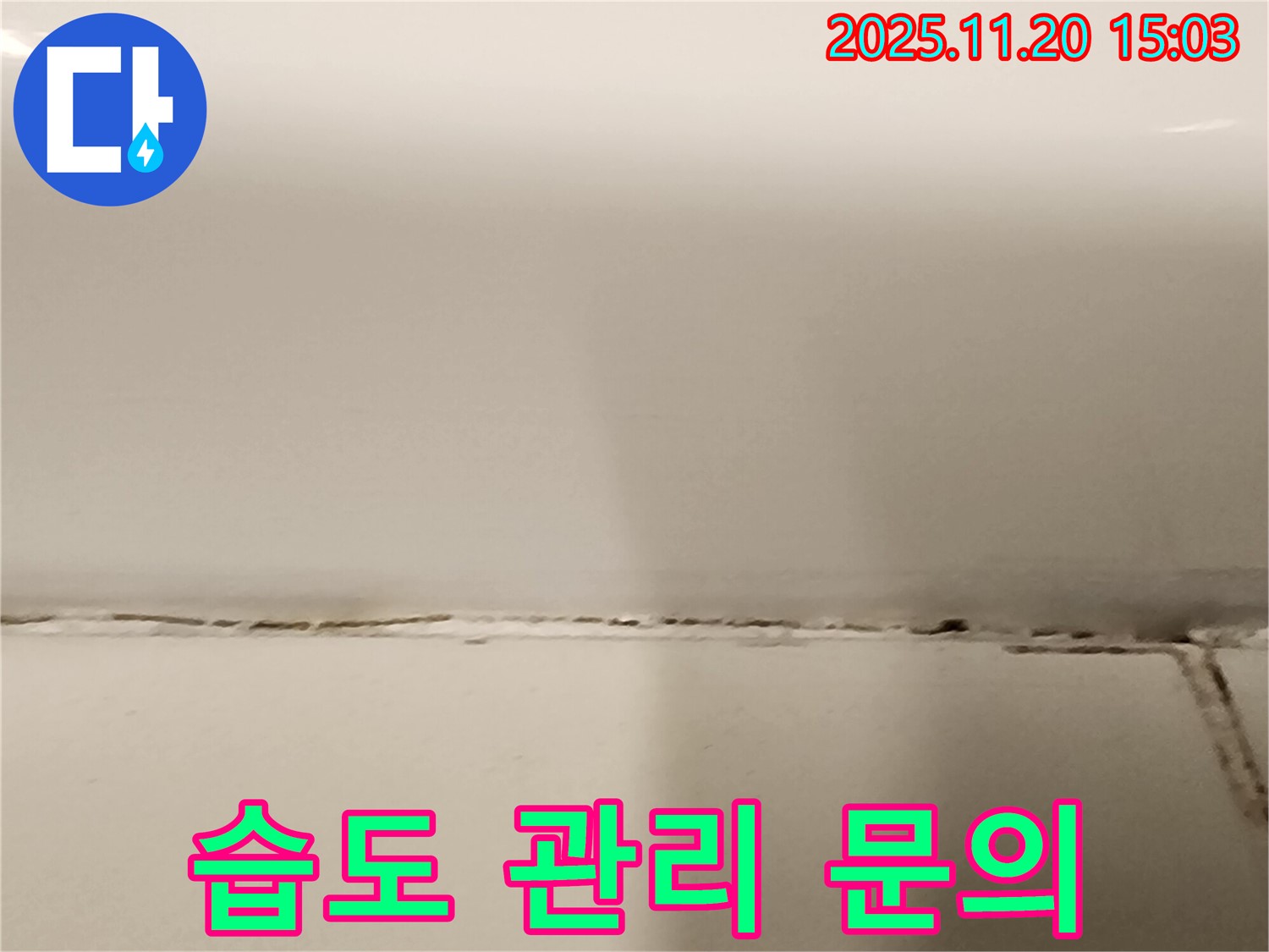 곰팡이 핀 타일 틈새 - 곰팡이 제거 후 습도 관리, 어떻게 해야 할까요? - 습도 조절이 중요합니다.
