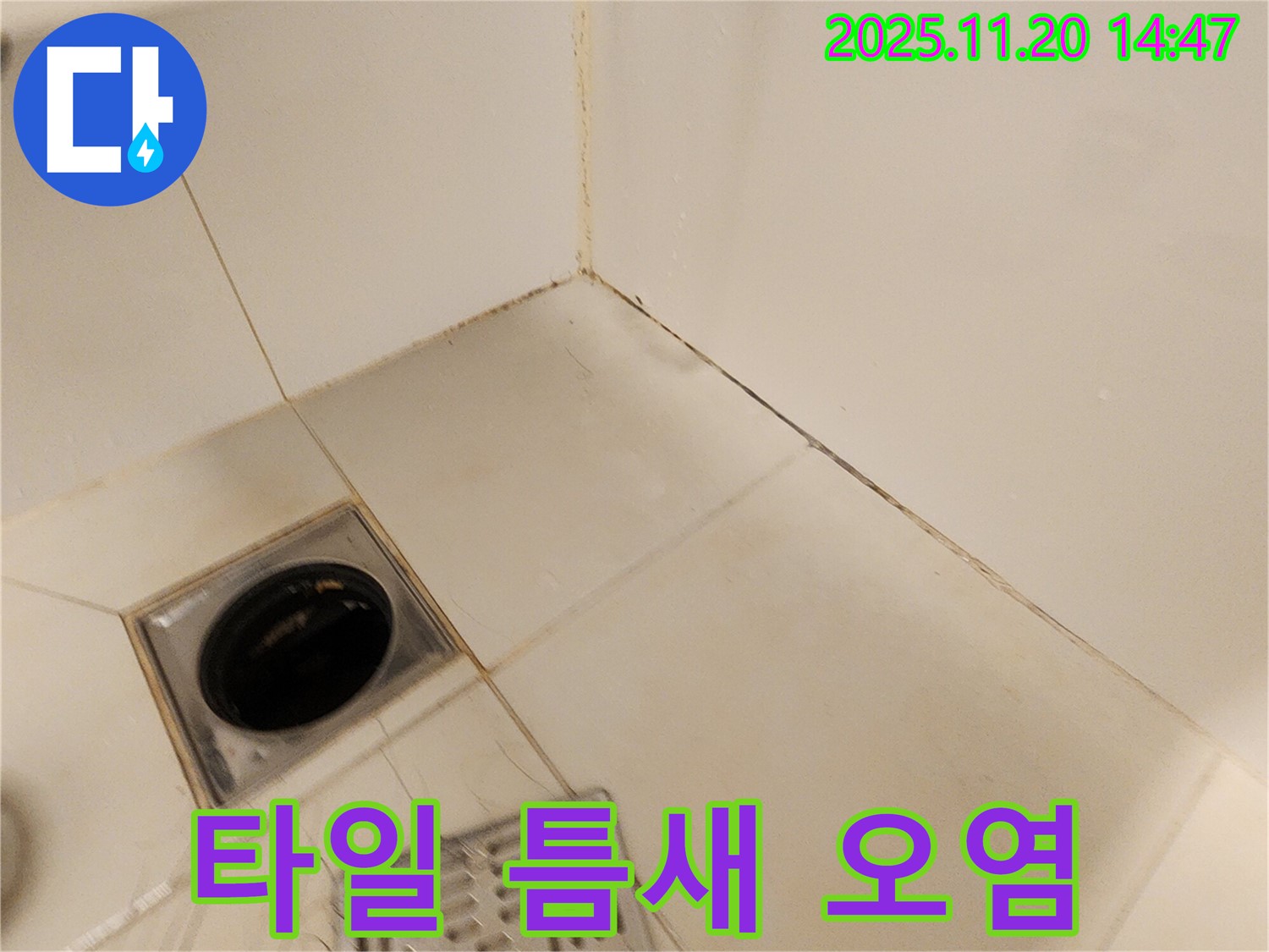 포천 가산 욕실 벽면 - 욕실 벽면 타일 틈새가 오염되고 곰팡이가 피어있어 누수 점검합니다.