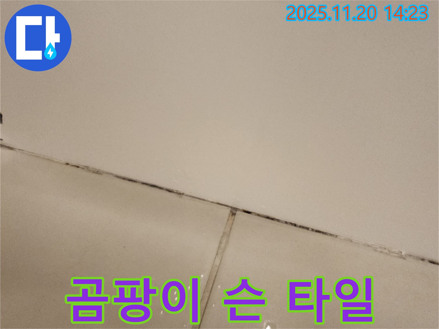 포천 가산면 마산리 - 곰팡이 슨 타일 틈새, 누수 긴급 해결