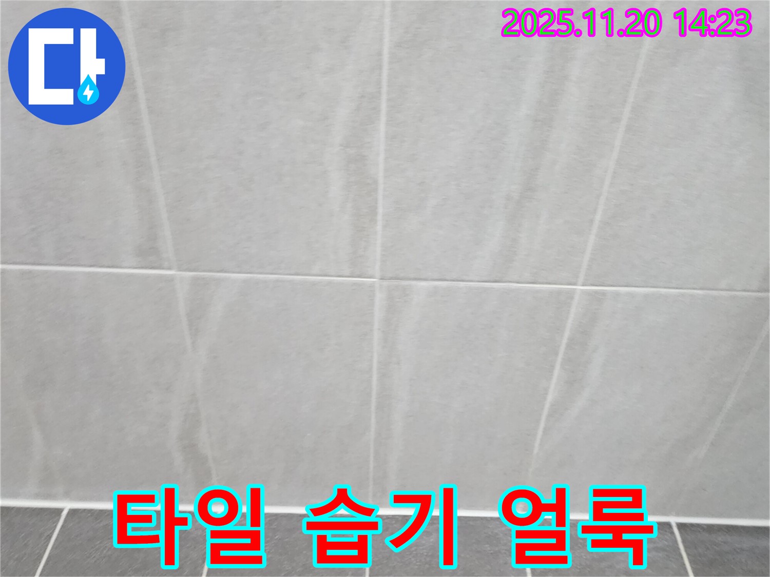 포천 가산면 마산리 - 벽면-바닥 타일 연결 부위 타일 표면 습기 얼룩 확인 - 지속적인 습기 노출 증거