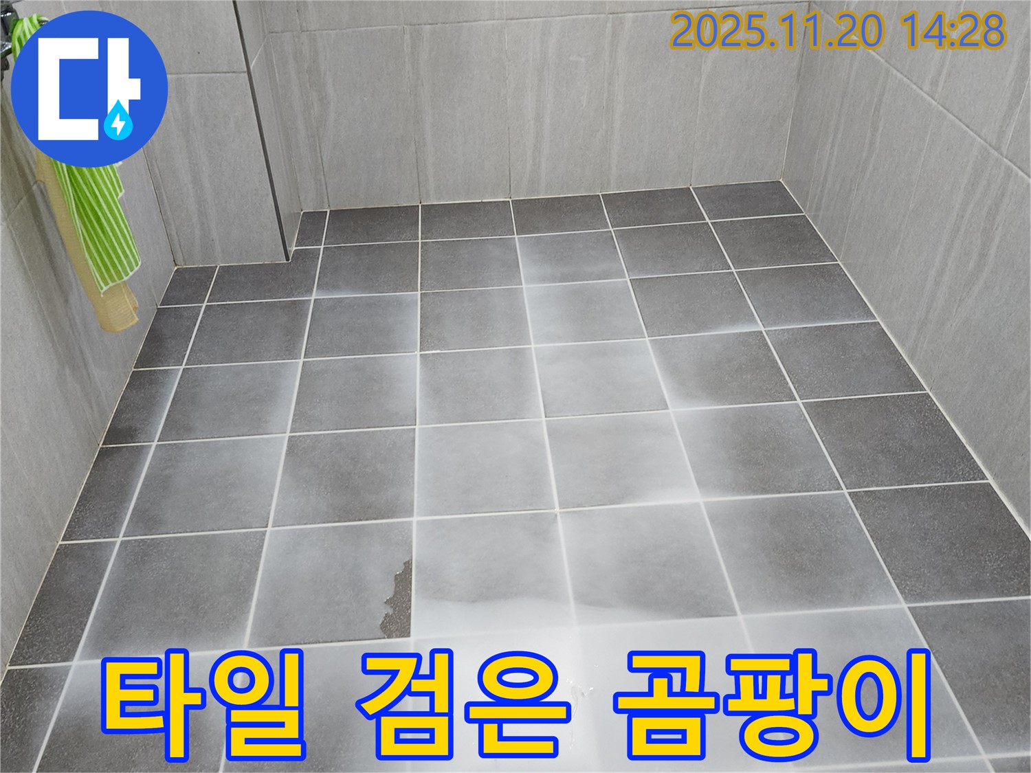 포천 가산면 마산리 욕실 타일 사이 검은 곰팡이 점검 - 누수 가능성 확인 및 곰팡이 제거