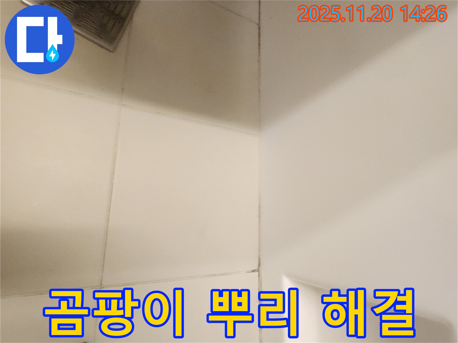 포천 가산면 욕실 - 천장 곰팡이, 뿌리까지 뽑아 완벽하게 해결해 드립니다!