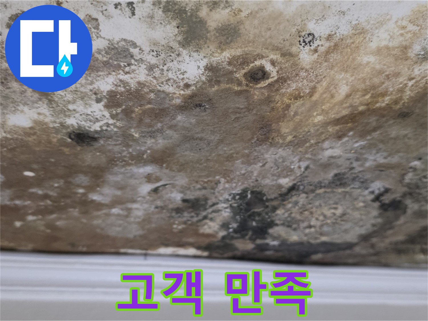고객 만족 후기 - 고객님들의 칭찬과 격려