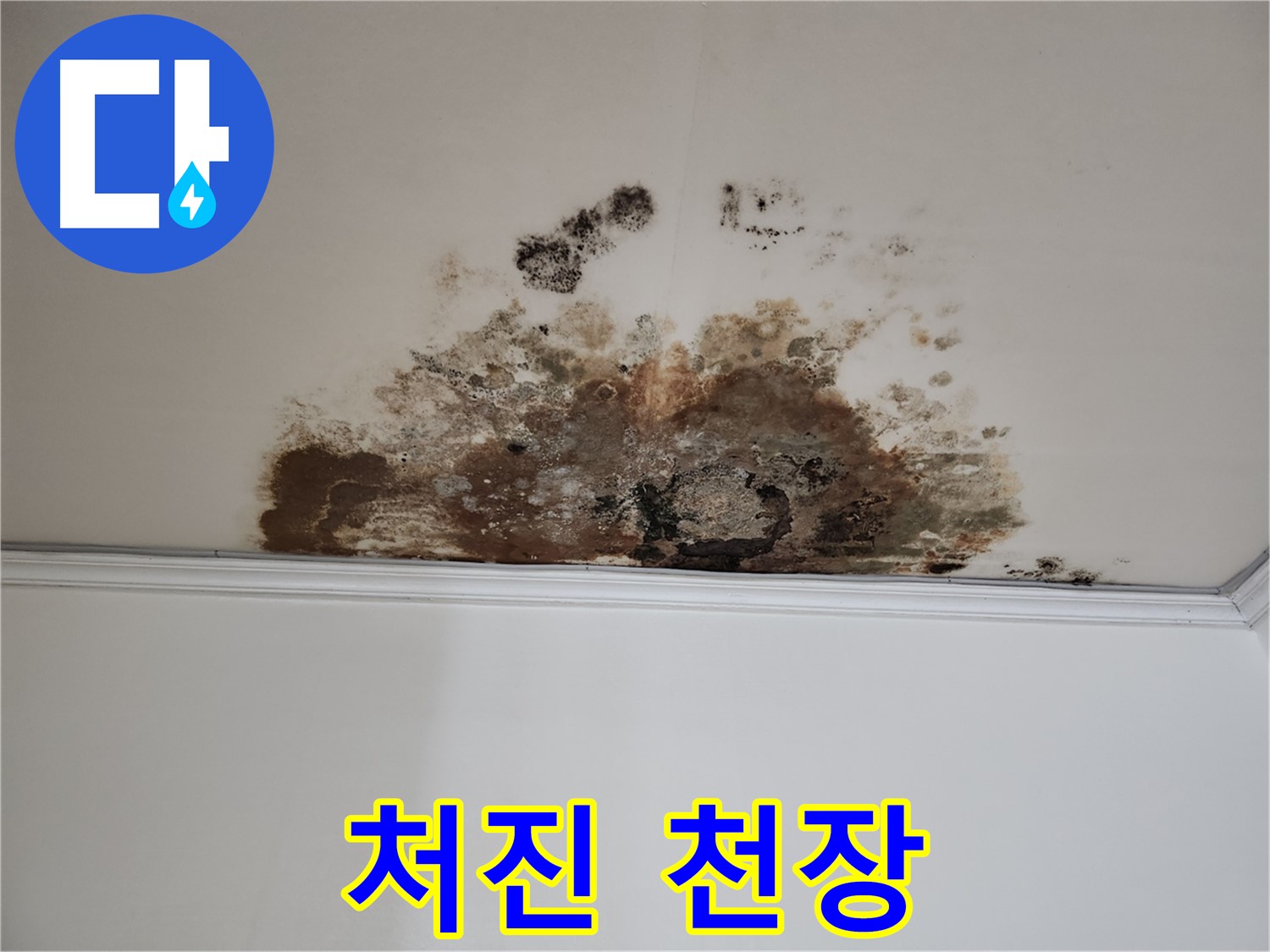 마포구 누수 - 곰팡이, 처진 천장