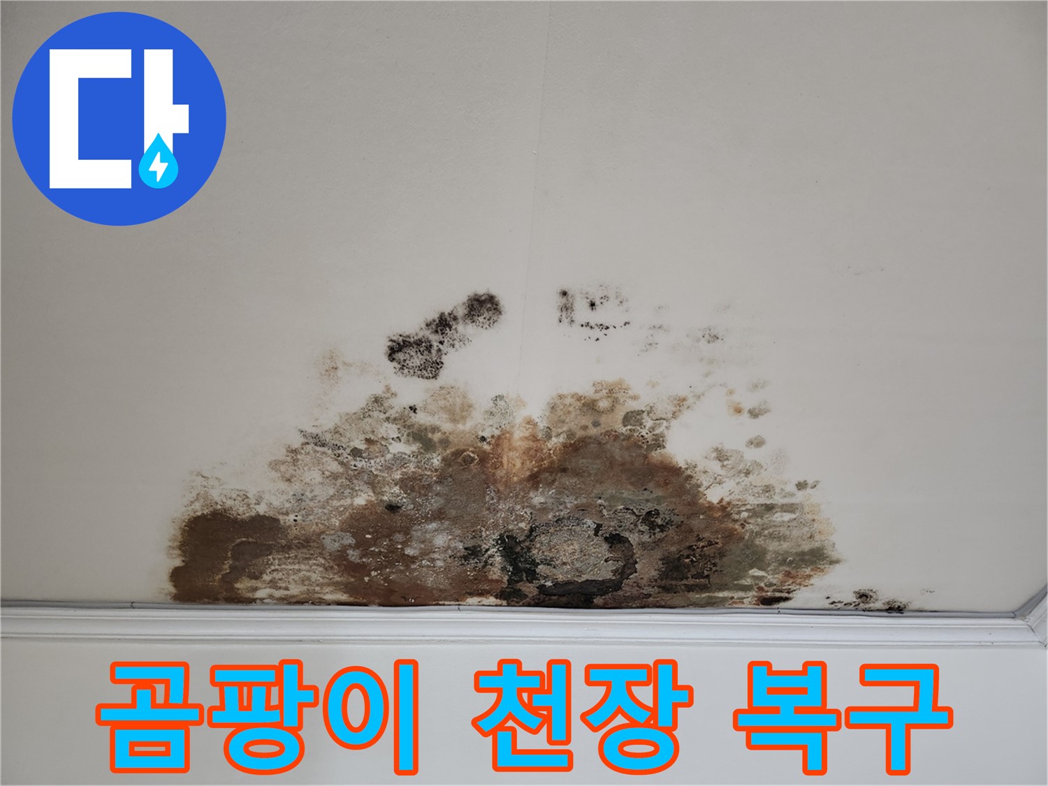 마포구 누수 해결 전문가 - 곰팡이 천장 완벽 복구 솔루션
