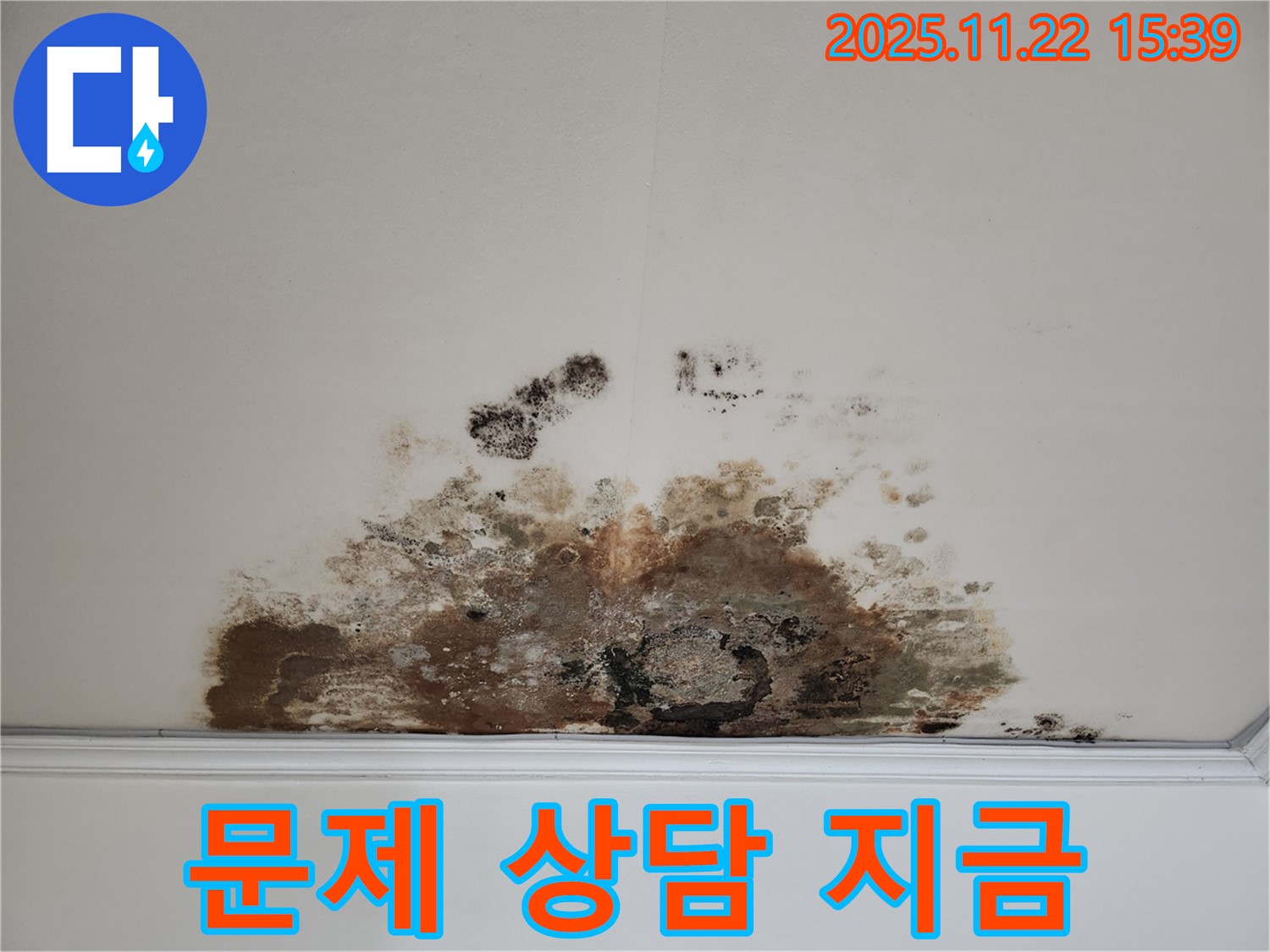 마포구 새창로 아파트 - 곰팡이 천장, 곰팡이 문제, 지금 바로 상담받으세요