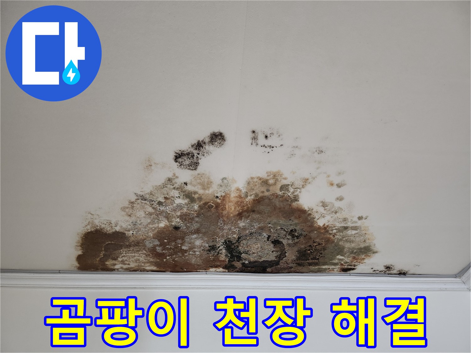 마포구 아파트 누수 - 곰팡이 천장 완벽 해결 비법 공개