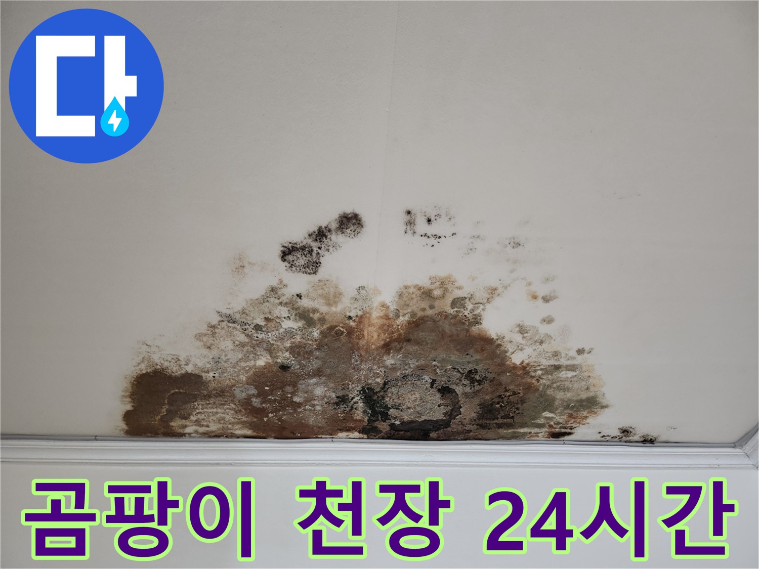 마포구 용강동 곰팡이 천장 누수 - 완벽 해결 24시간 상담 가능
