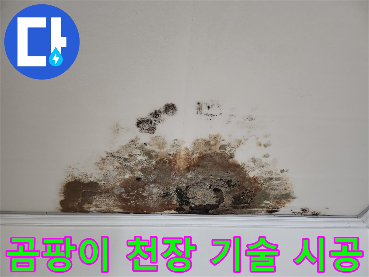 마포구 용강동 누수 곰팡이 천장 - 베테랑 기술 확실한 시공 책임