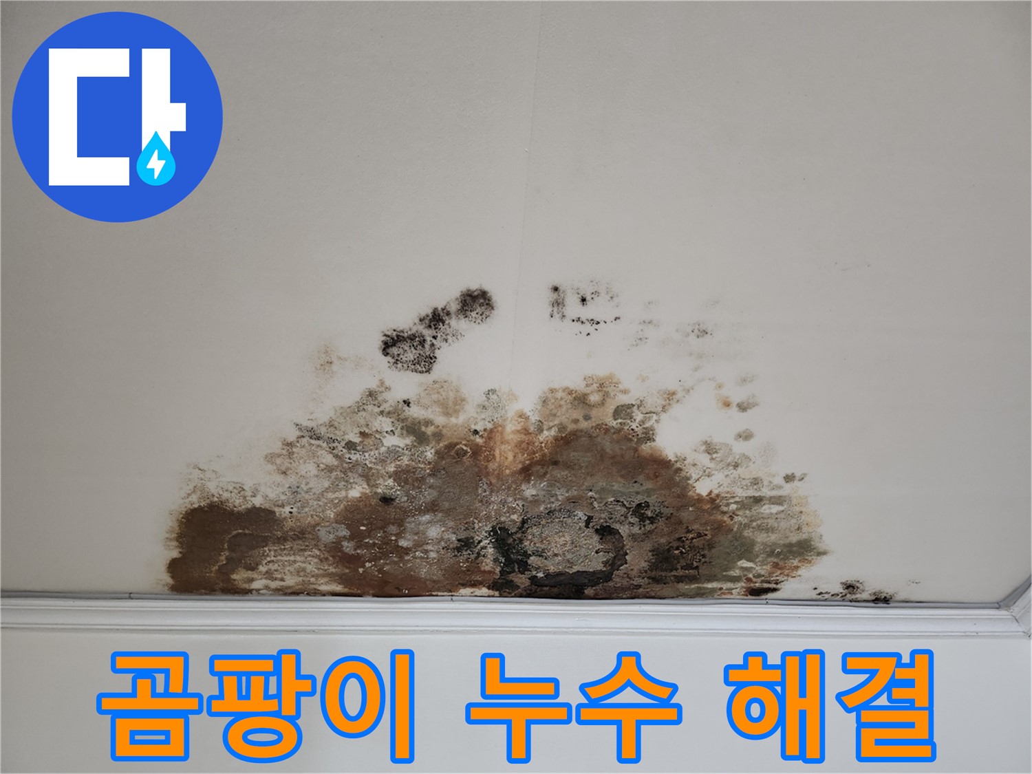 마포구 용강동 누수 - 곰팡이 천장, 확실한 해결 및 곰팡이 박멸