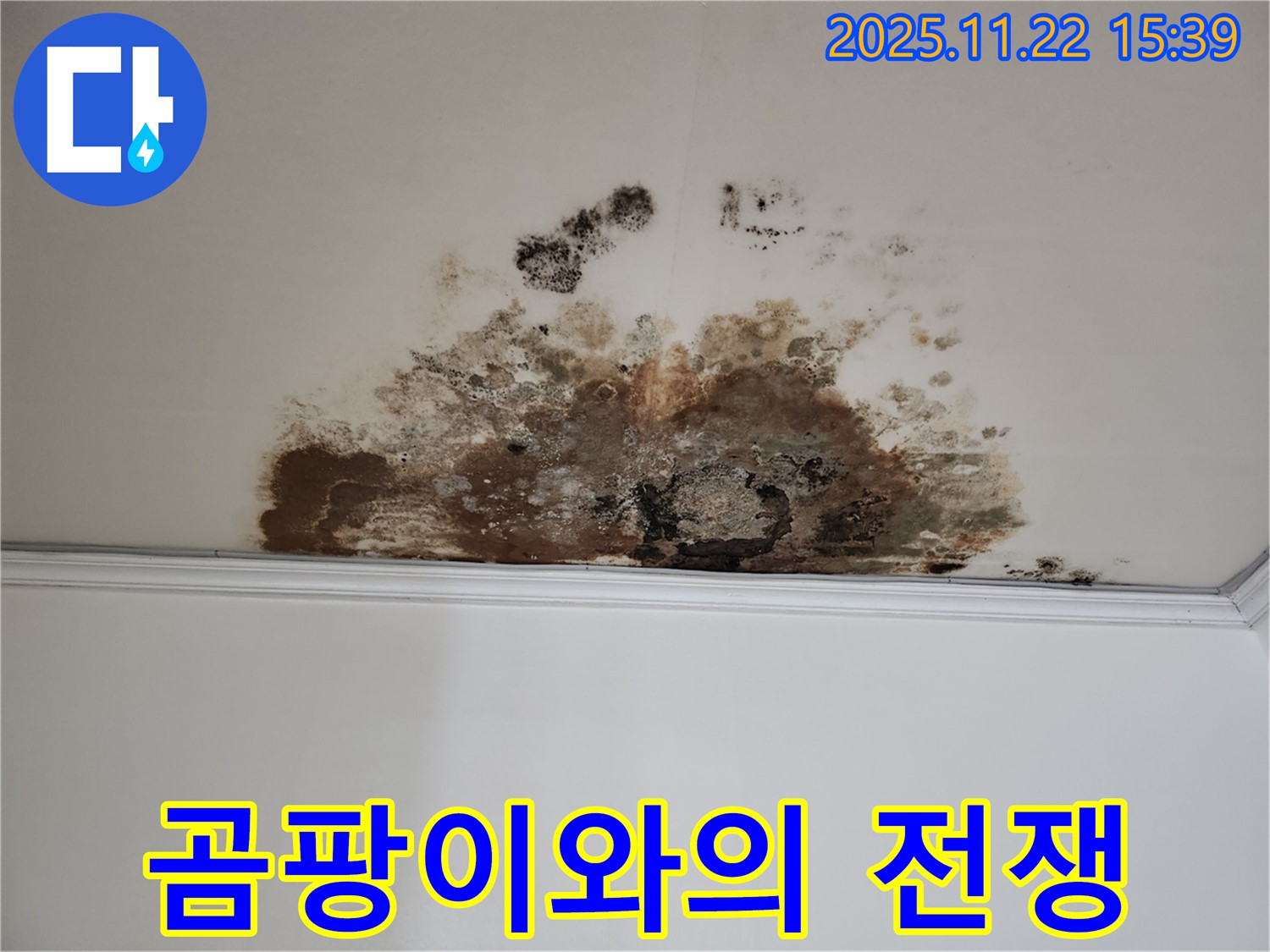마포구 용강동 새창로8길 누수 - 곰팡이와의 전쟁, 현대홈타운 쾌적한 집