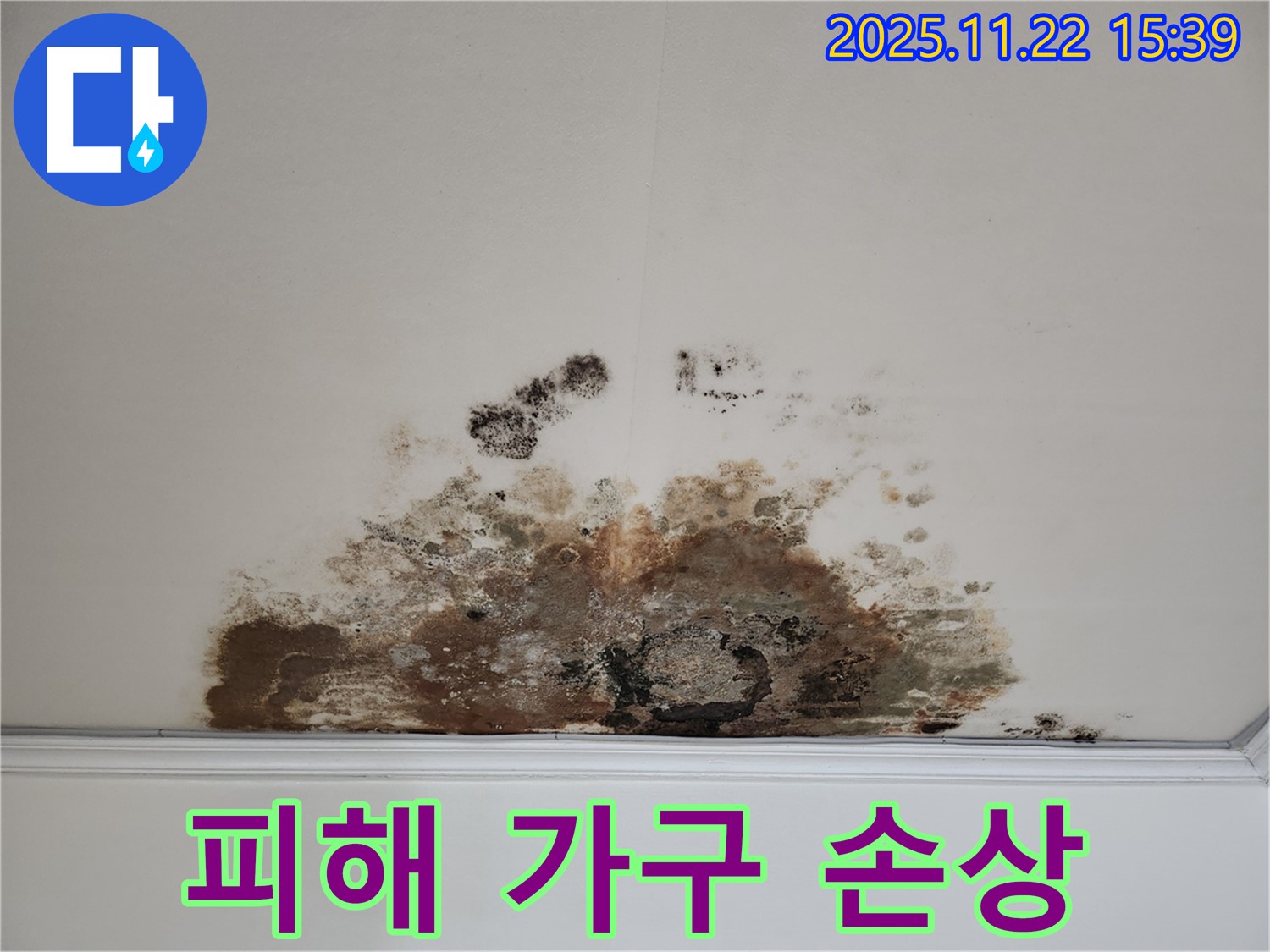 마포구 용강동 아파트 - 곰팡이 천장, 누수 피해로 가구 손상 및 재산 피해 발생