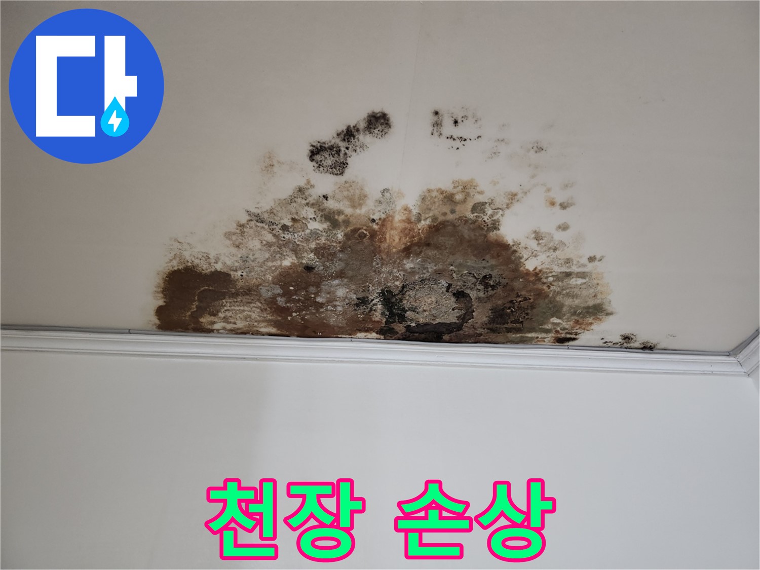 마포구 용강동 현대홈타운 천장 누수 - 천장 손상