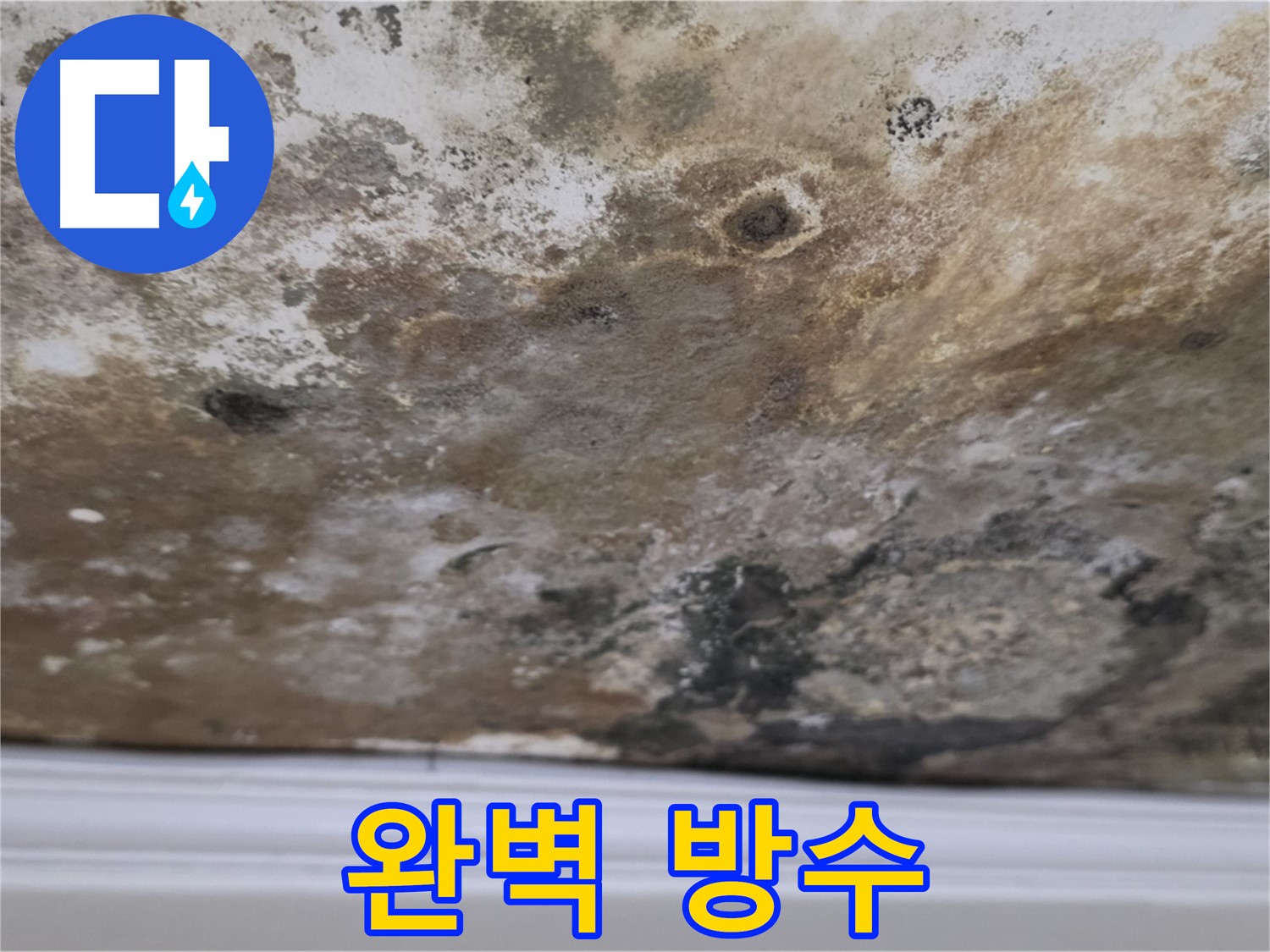 방수 공사 시공 모습 - 누수 재발 방지를 위한 방수 공사 시공의 상세 모습입니다.