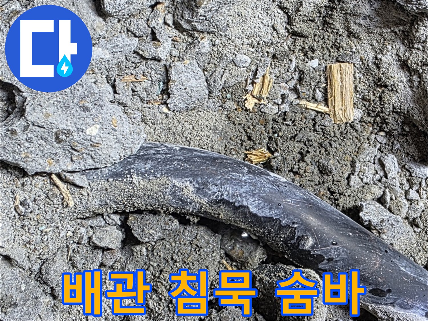 서울시 마포구 용강동 - 콘크리트 속에 숨겨진 낡은 배관의 침묵 - 누수 원인과의 숨바꼭질이 시작됩니다!