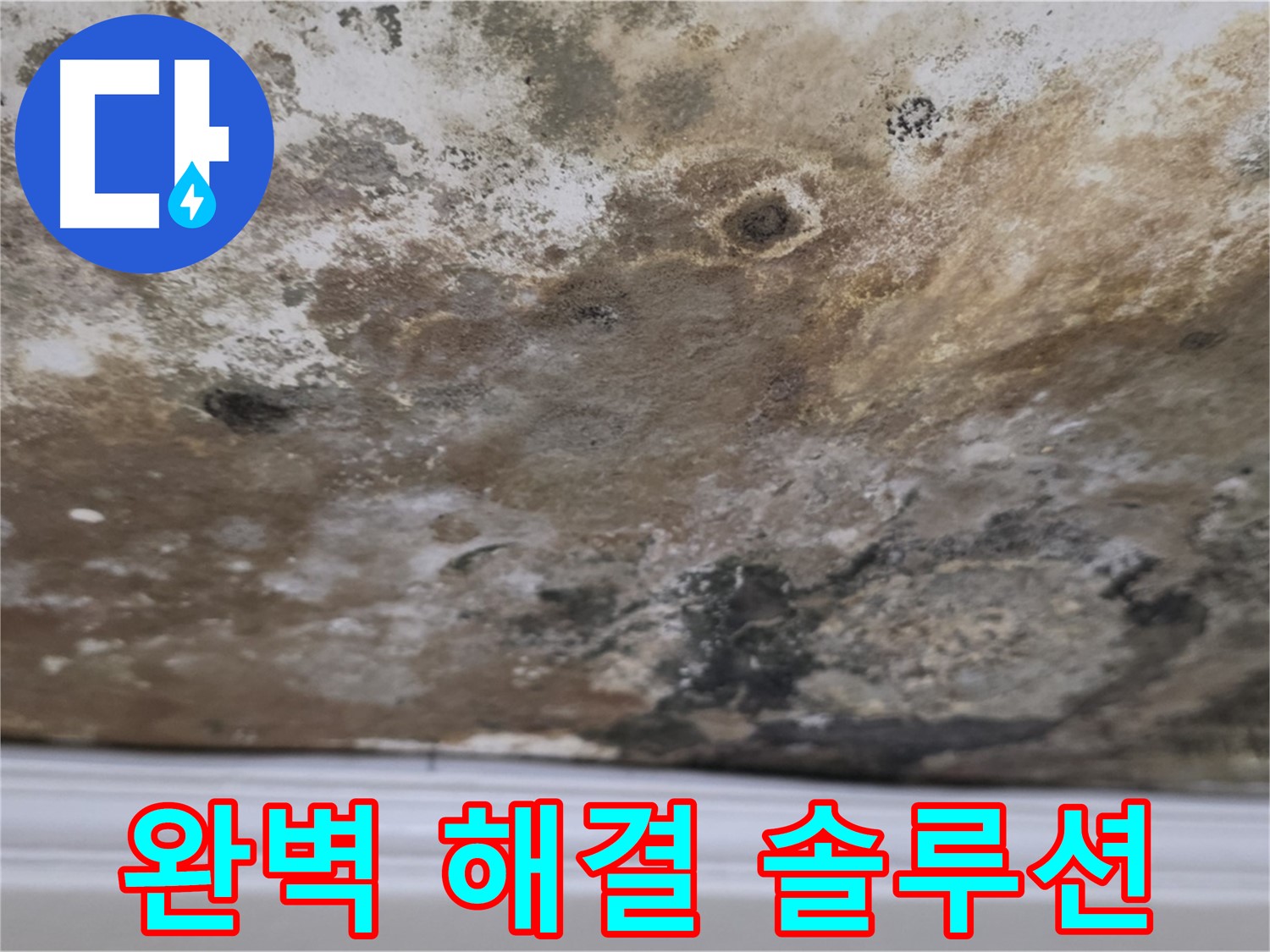 완벽한 누수 해결 솔루션 - 누수 문제 해결을 위한 최적의 솔루션을 제공하는 모습입니다.