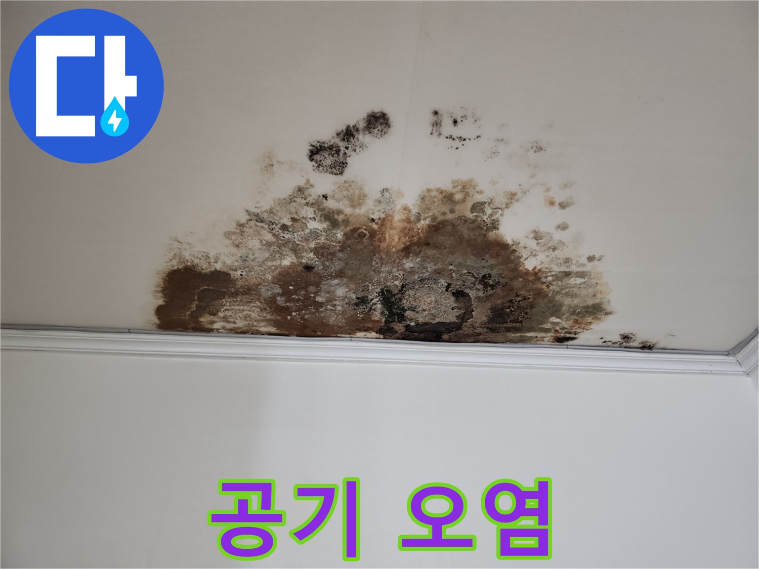 용강동 누수 - 곰팡이로 인한 공기 오염