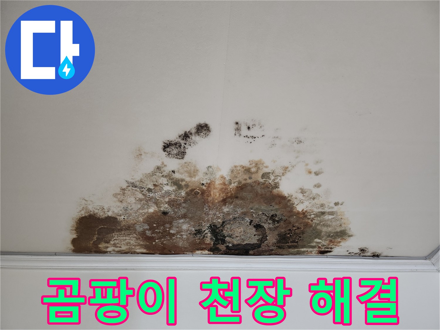 용강동 누수탐지 - 곰팡이 심한 천장의 완벽 해결 비법 대공개