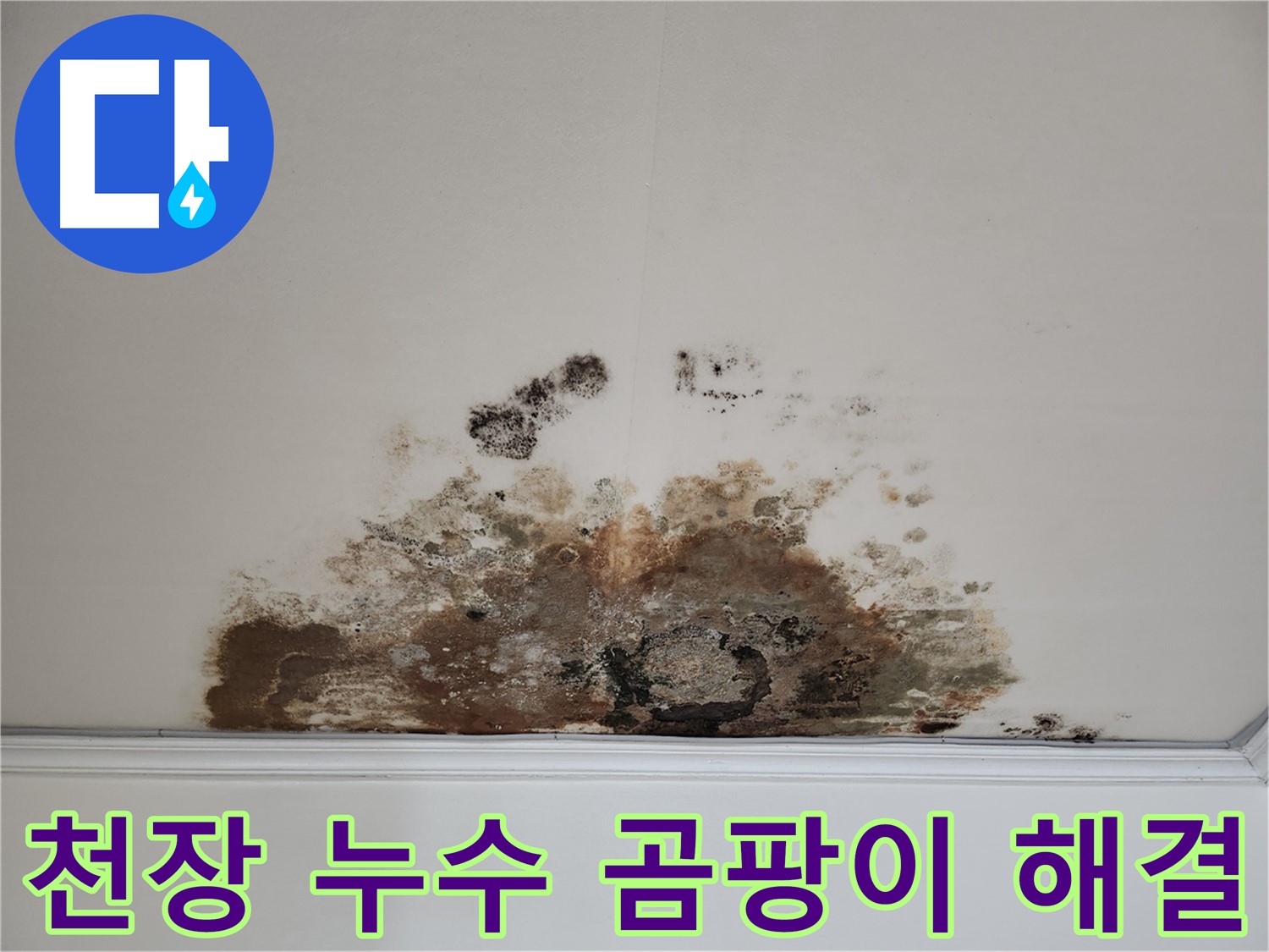 용강동 누수탐지 전문 - 곰팡이 핀 천장 완벽 해결