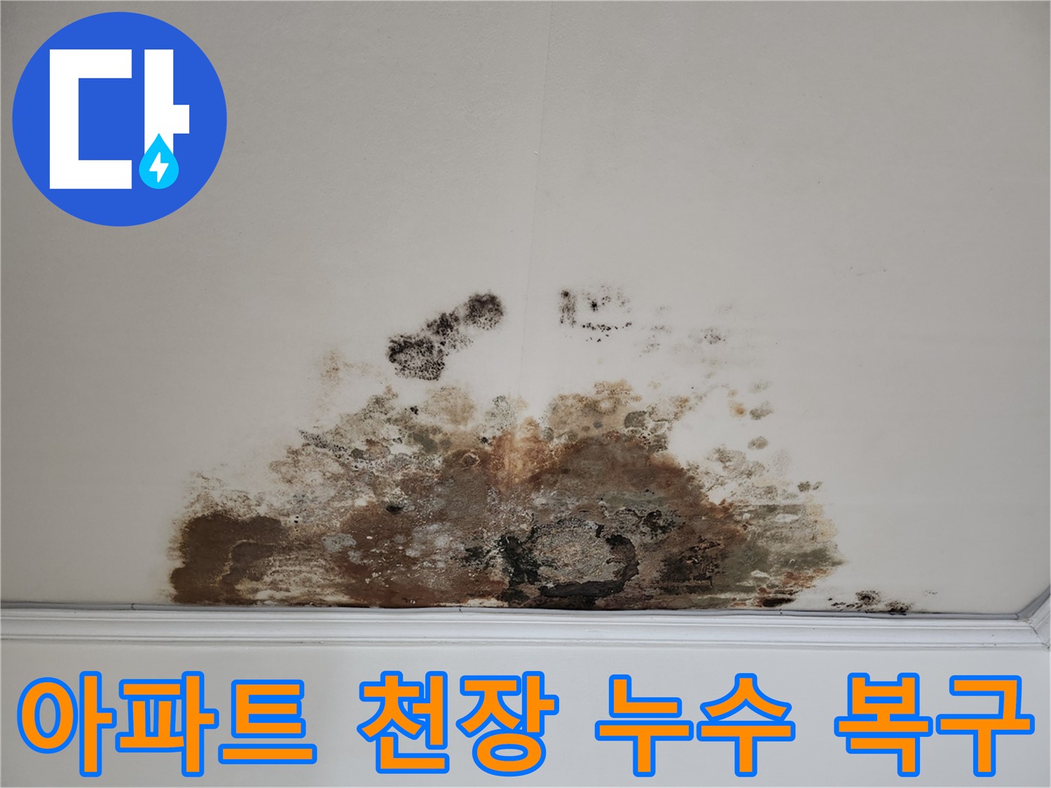 용강동 아파트 누수 - 곰팡이 핀 천장의 완벽한 복구 후기