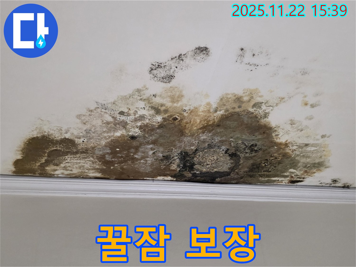 용강동 아파트 누수 - 곰팡이와의 전쟁 완전 승리, 쾌적한 공간에서 꿀잠 보장!