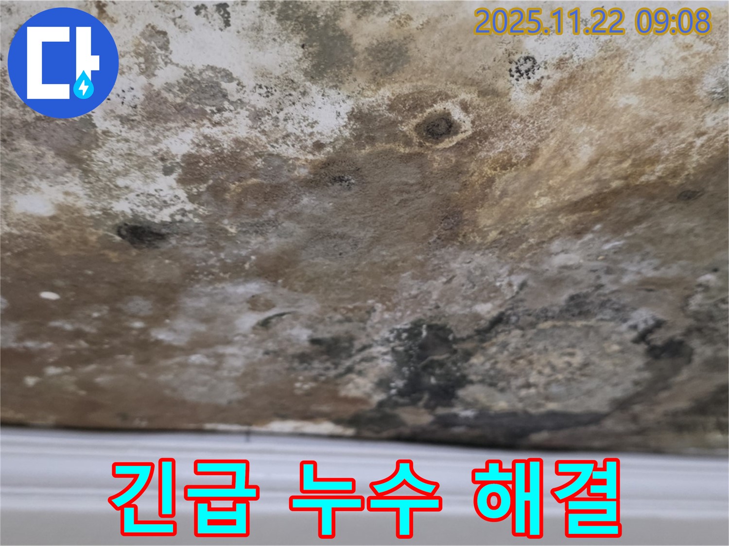 용강동 아파트 천장 누수 - 24시간 긴급 누수 해결 서비스