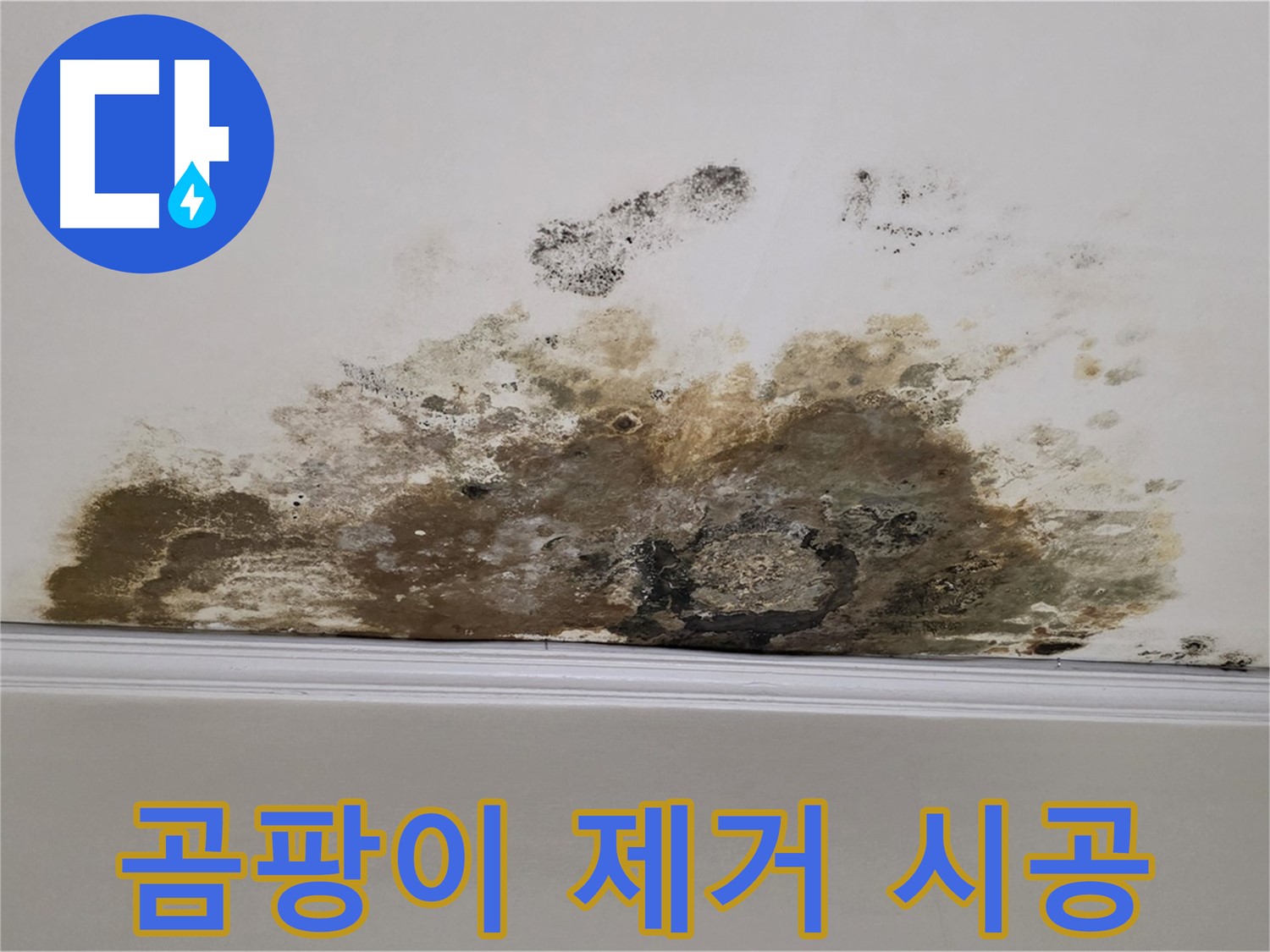 용강동 현대홈타운 아파트 누수 - 곰팡이 제거 및 재발 방지 꼼꼼 시공