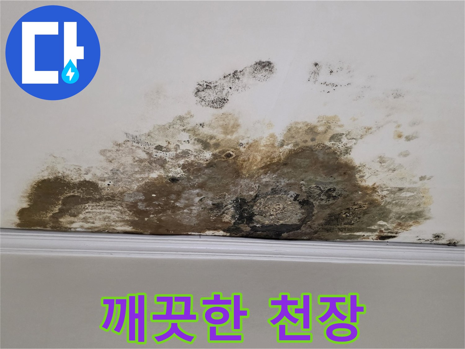 용강동 현대홈타운 아파트 누수 - 곰팡이 제거 후 깨끗해진 천장