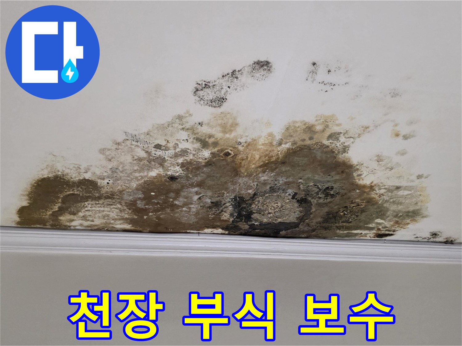 용강동 현대홈타운 아파트 누수 - 곰팡이로 인한 천장 부식 - 긴급 보수 작업 진행