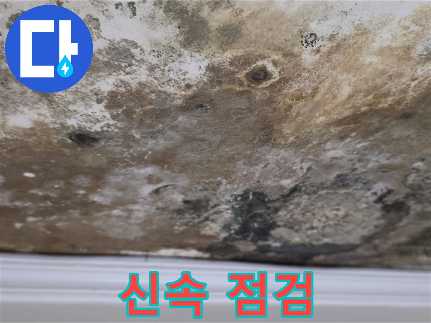 현대홈타운 곰팡이 천장 - 신속 점검이 중요합니다