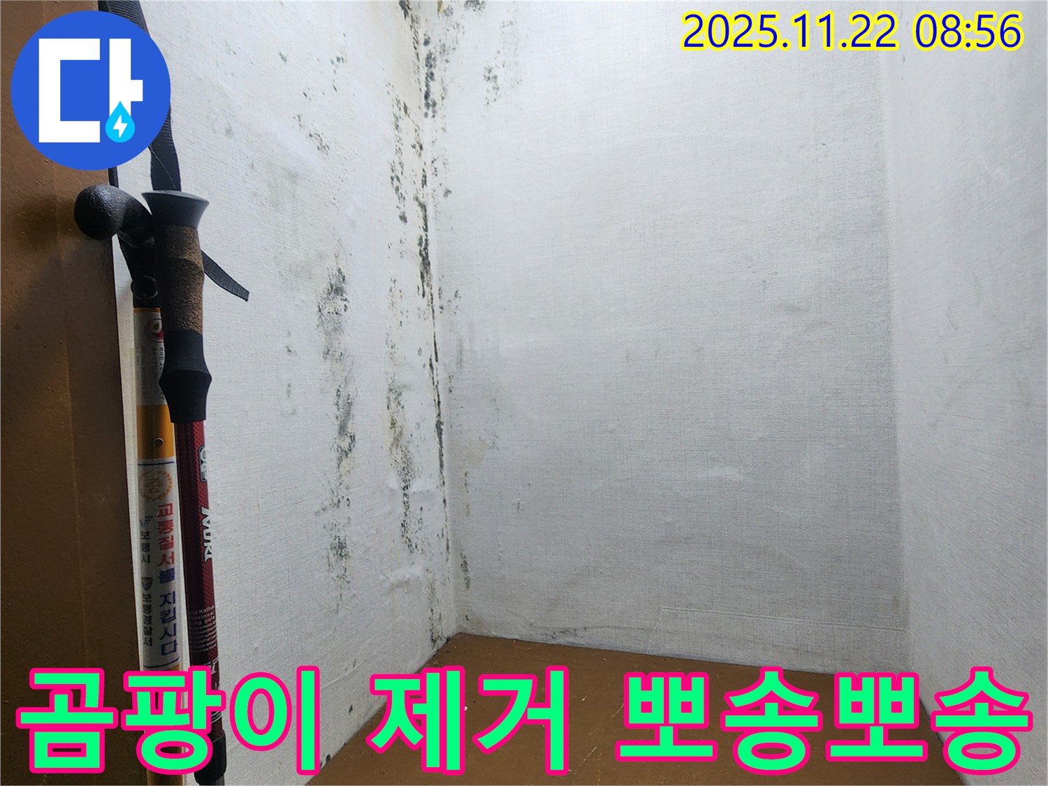 곰팡이 완벽 제거 - 뽀송뽀송하게 변신!