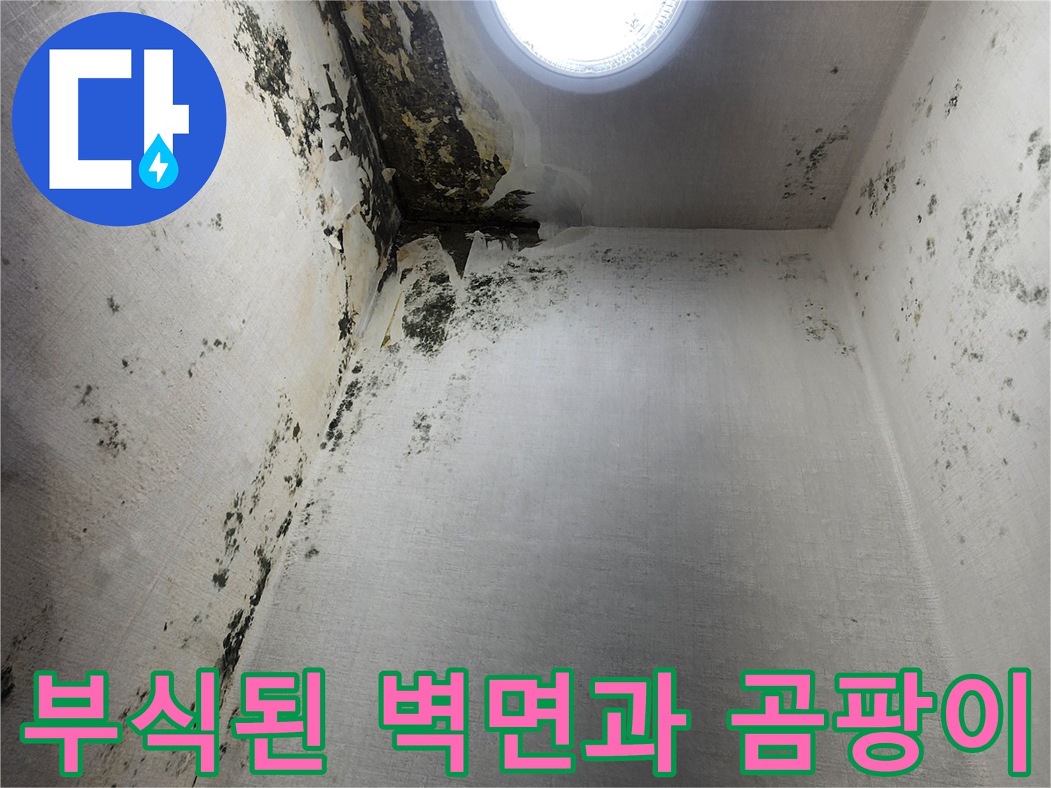 습기로 인해 부식된-다용도실 내부 벽체와 검은 곰팡이