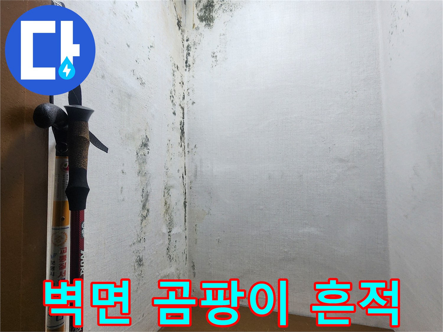 의정gsub-신곡동-다용도실-벽면-곰팡이-및-부식-상태