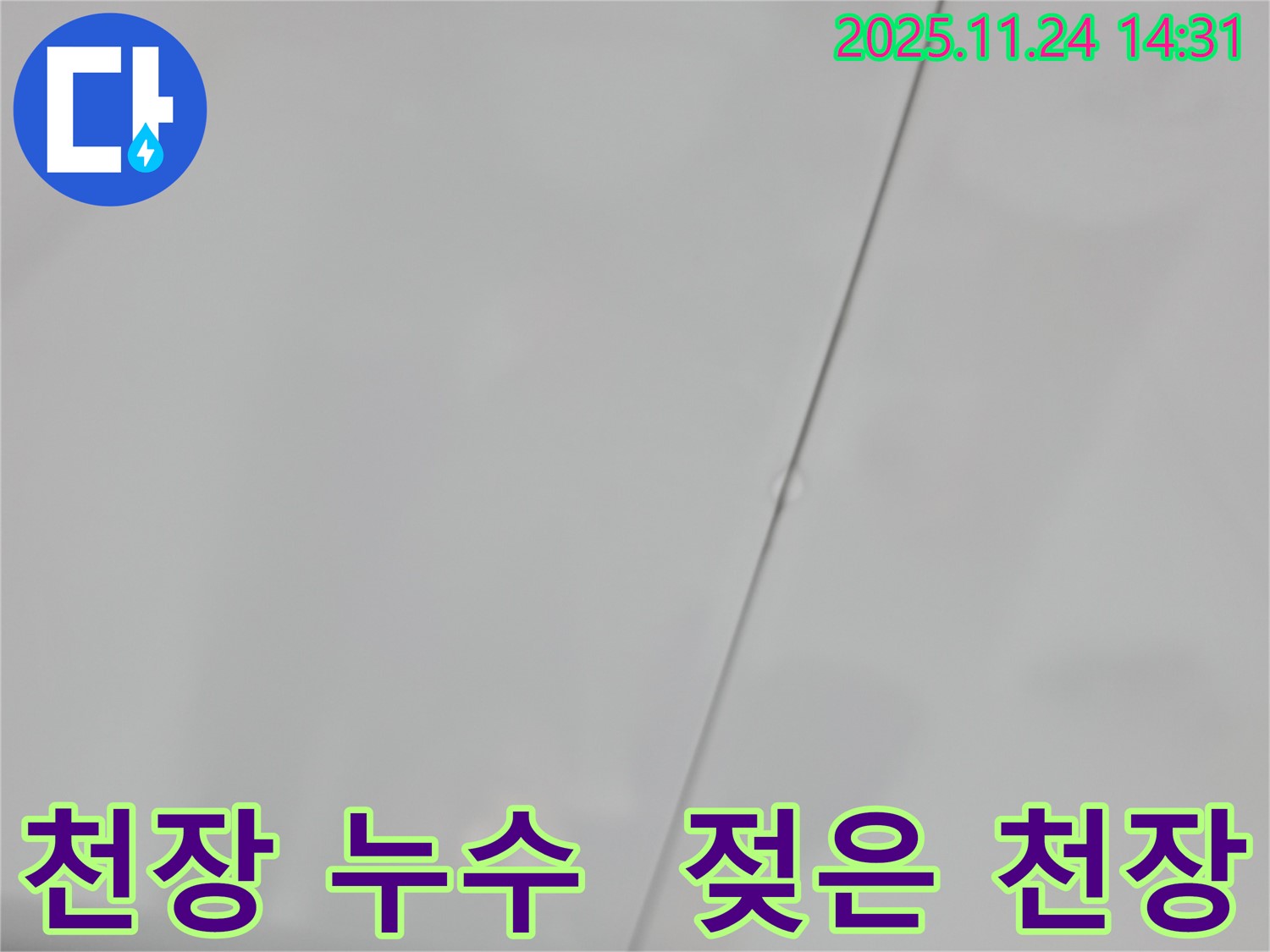 서울 중랑구 묵동 신안아파트 욕실 천장 누수 - 젖어있는 천장 상태