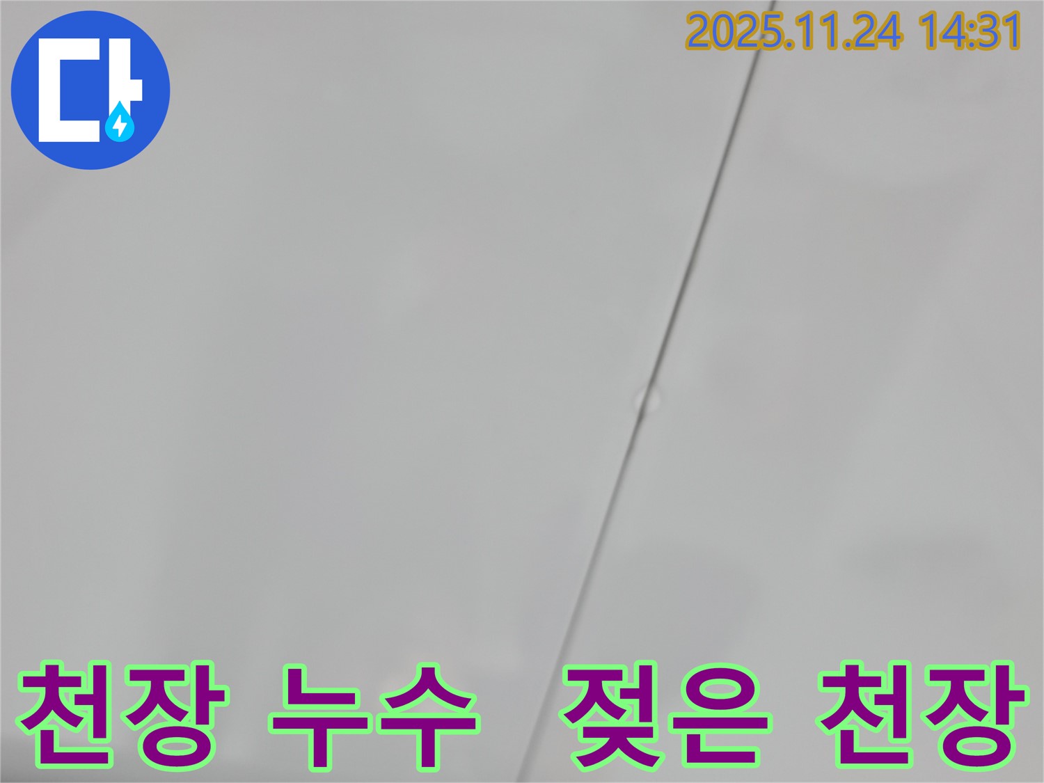 서울 중랑구 묵동 신안아파트 욕실 천장 누수 - 젖어있는 천장 상태