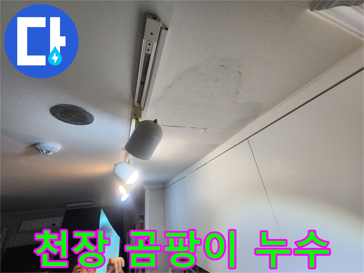 공릉2단지 아파트 천장 누수 - 곰팡이로 인한 건강 위협 - 긴급 곰팡이 제거