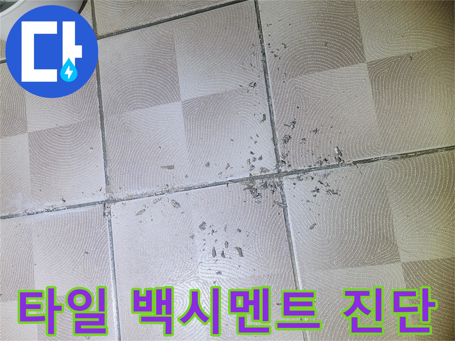 센트럴타운로 누수 - 욕실 타일 손상 및 백시멘트 탈락으로 인한 누수 가능성 진단