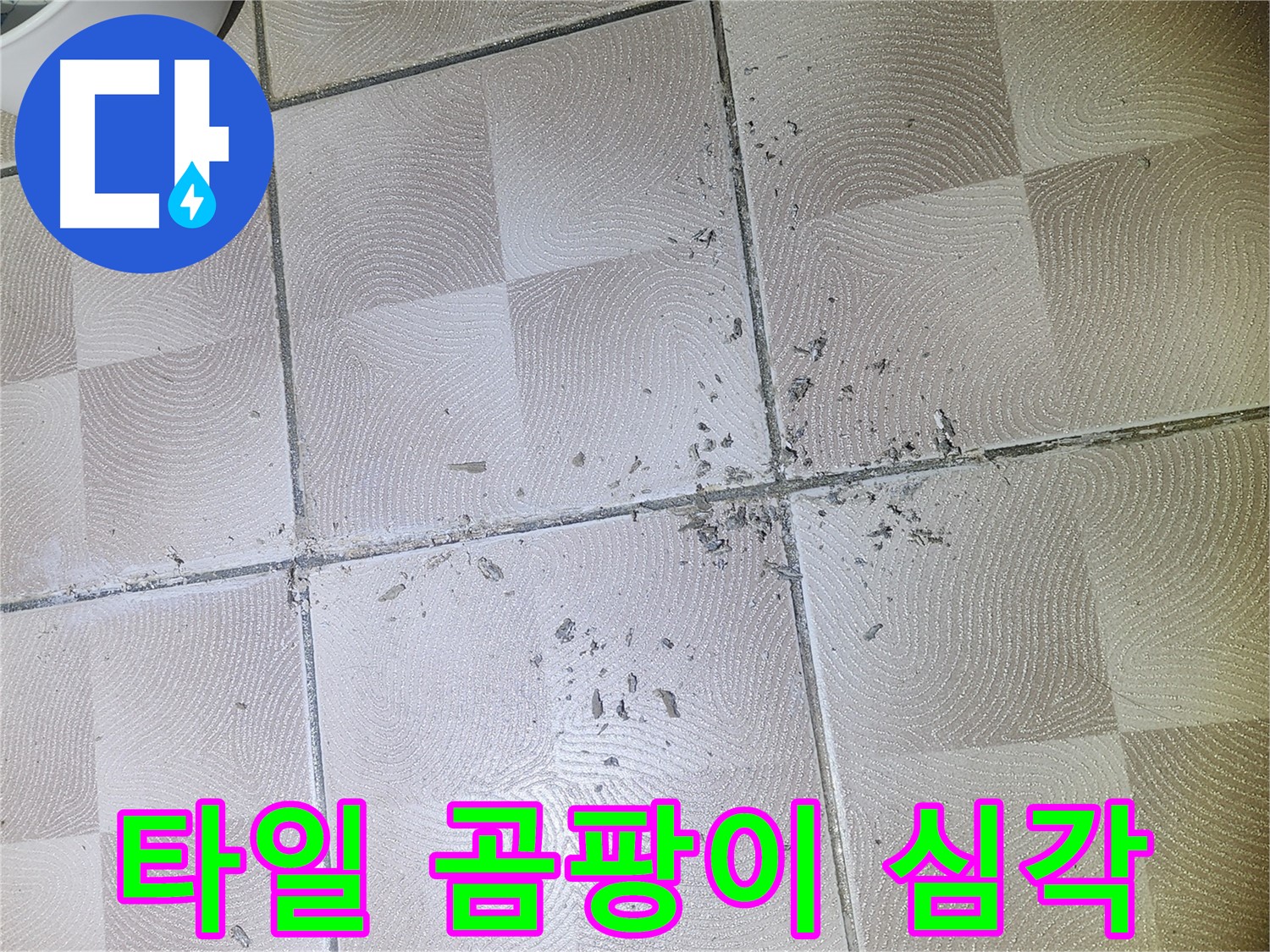 수원 e편한세상 광교 누수 - 깨진 타일 주변 백시멘트 가루 및 곰팡이 발생 매우 심각