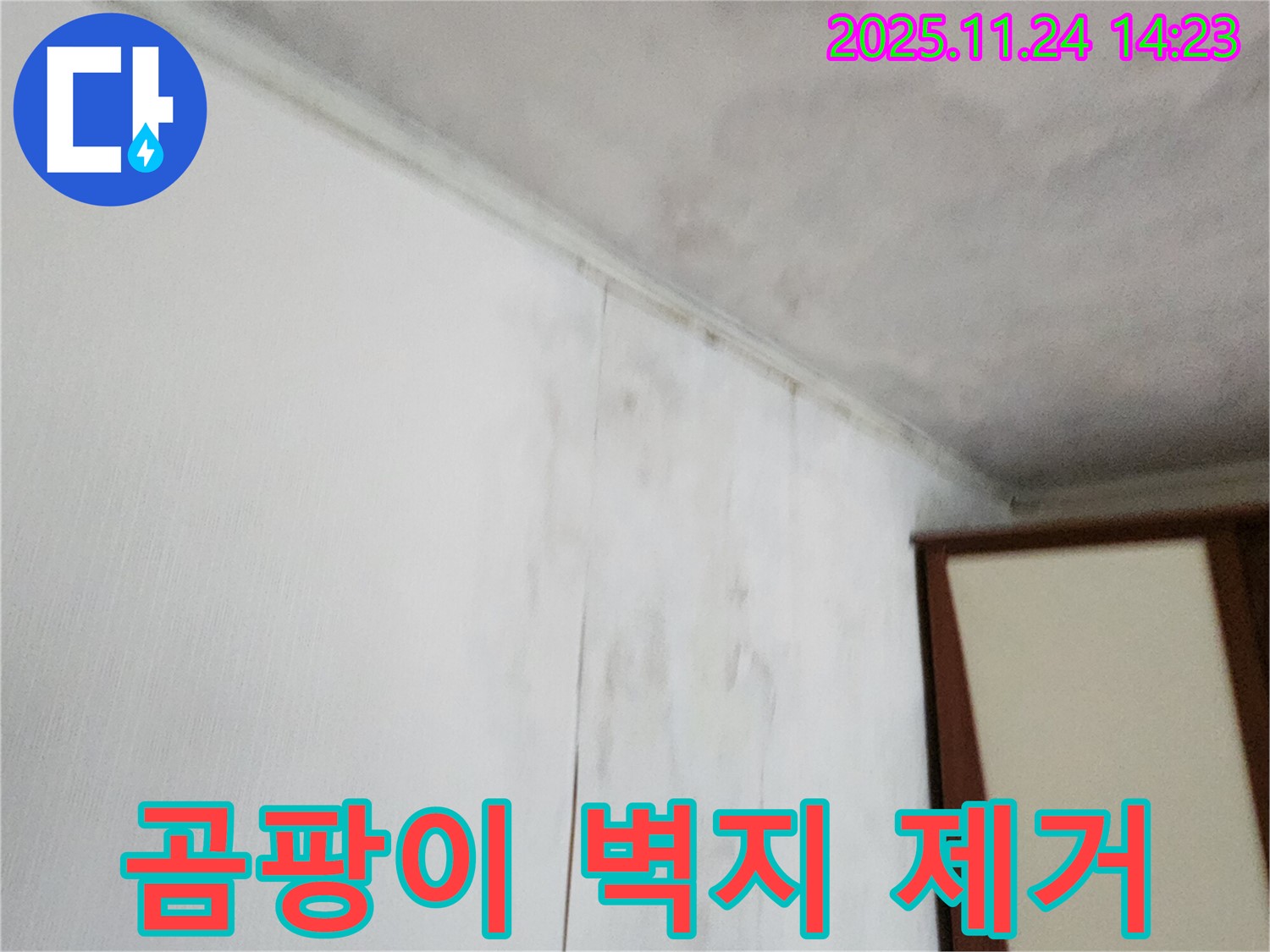 곰팡이 핀 젖은 벽지 - 누수로 인해 곰팡이가 피고 젖은 벽지 모습 - 누수 해결 및 친환경 곰팡이 제거가 필요합니다.
