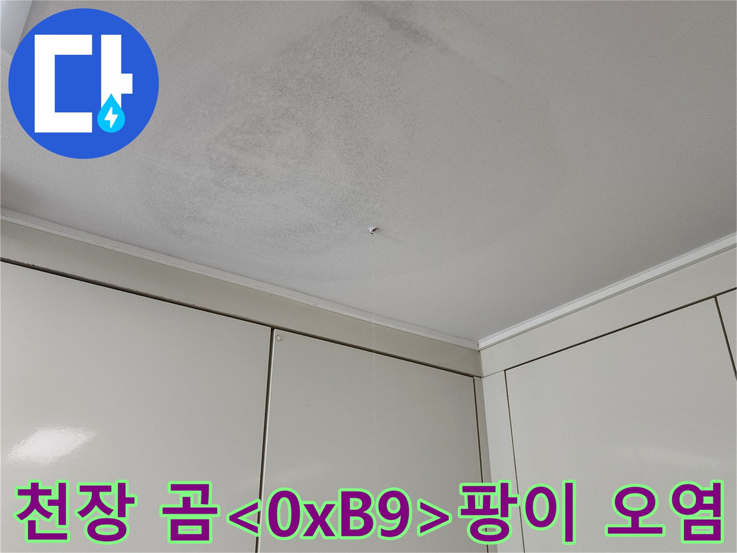 천장 구석에 발생한 곰팡이와 얼룩