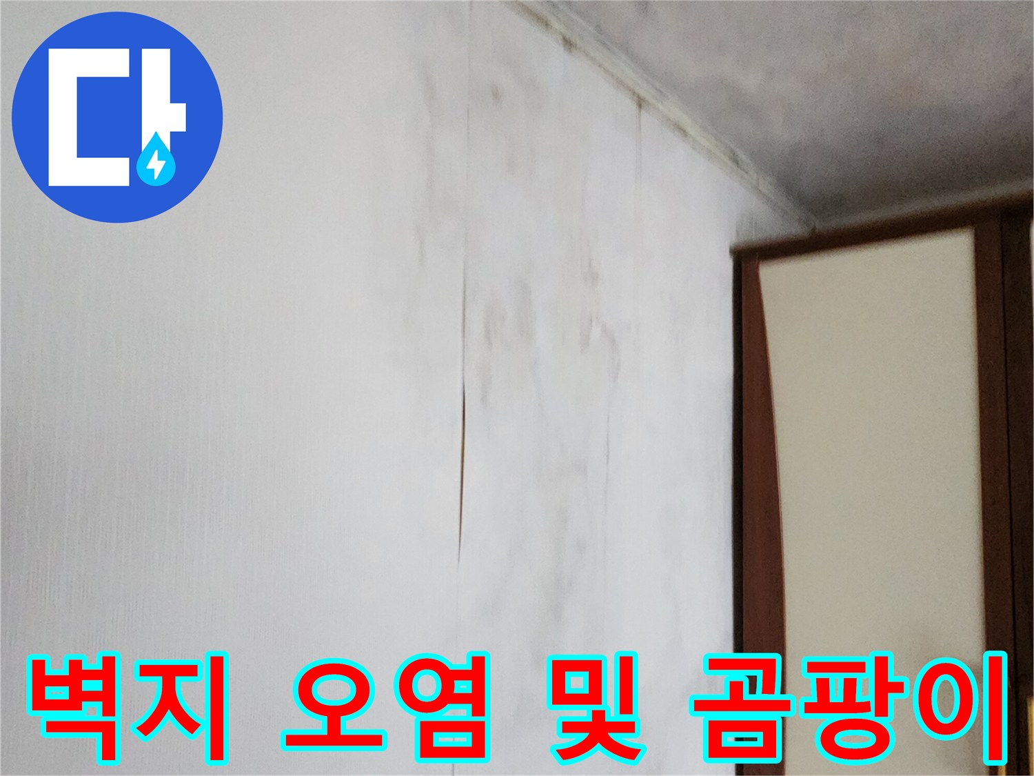 천장 근처 벽면에 발생한 광범위한 곰팡이와 얼룩