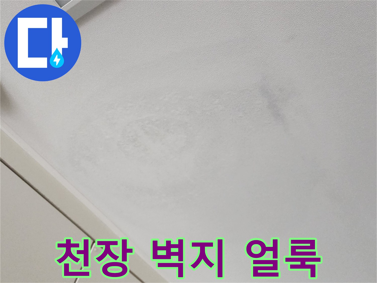 포천 가산면 현장의 천장 벽지 오염 상태