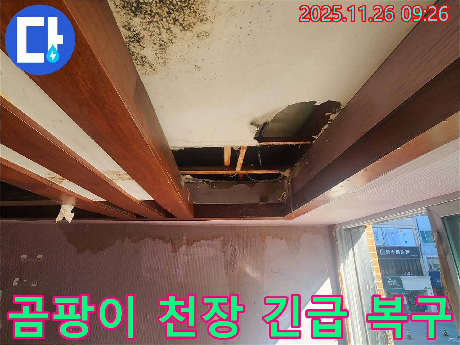 포천시 신북면 계류리 누수 현장 - 곰팡이로 가득한 천장과 석고보드 붕괴 직전의 상황을 긴급 복구한 모습입니다.