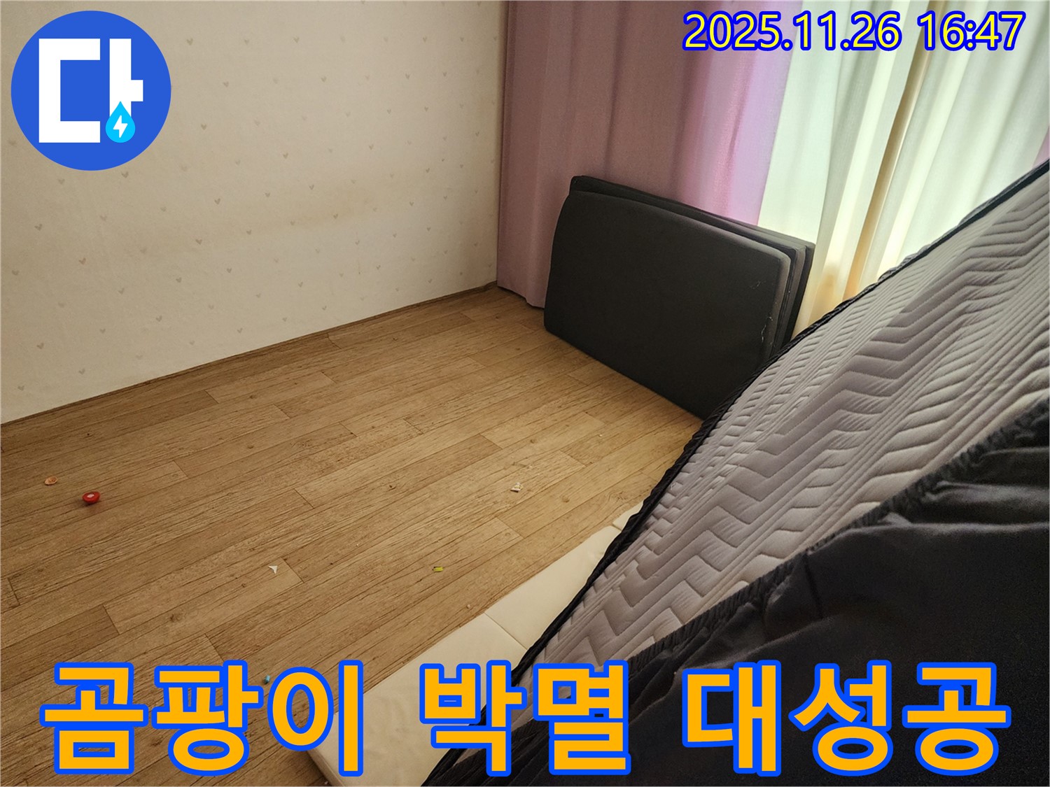 포천 신북면 삼성당리 누수 - 침대 밑 곰팡이 완벽 박멸 작전 대성공